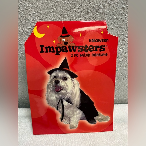 THE GREAT. Other - Black And Orange Halloween Costume Hat And Cape